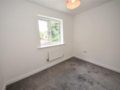 Picture 24